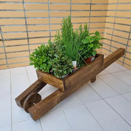 Appartement Beech-house *
